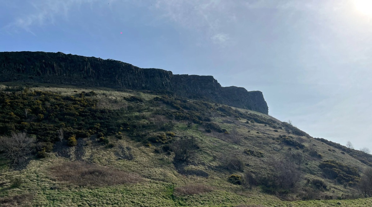 At Home In Edinburgh tweet media