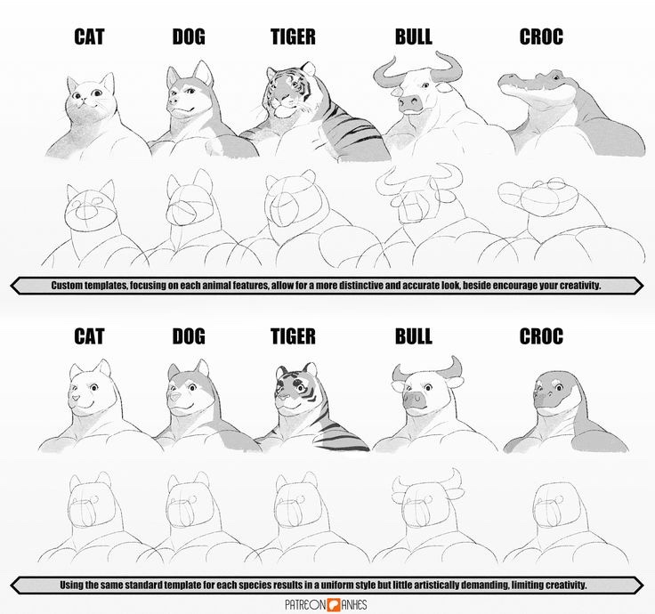 The richest guy tweet media