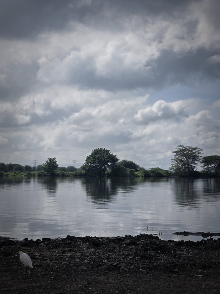 Kenya Tourism Board tweet media