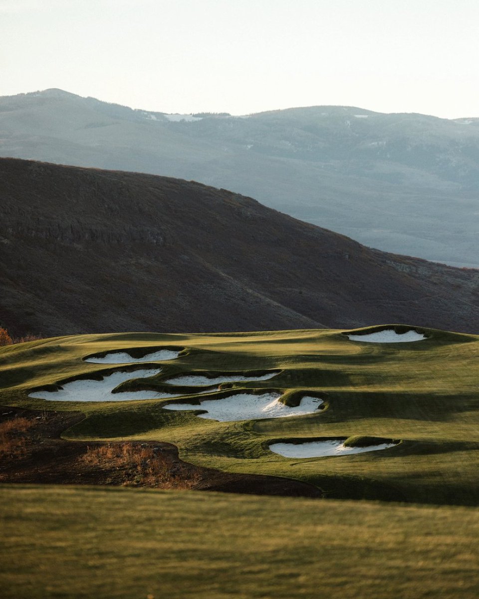 Golf Course Architecture tweet media