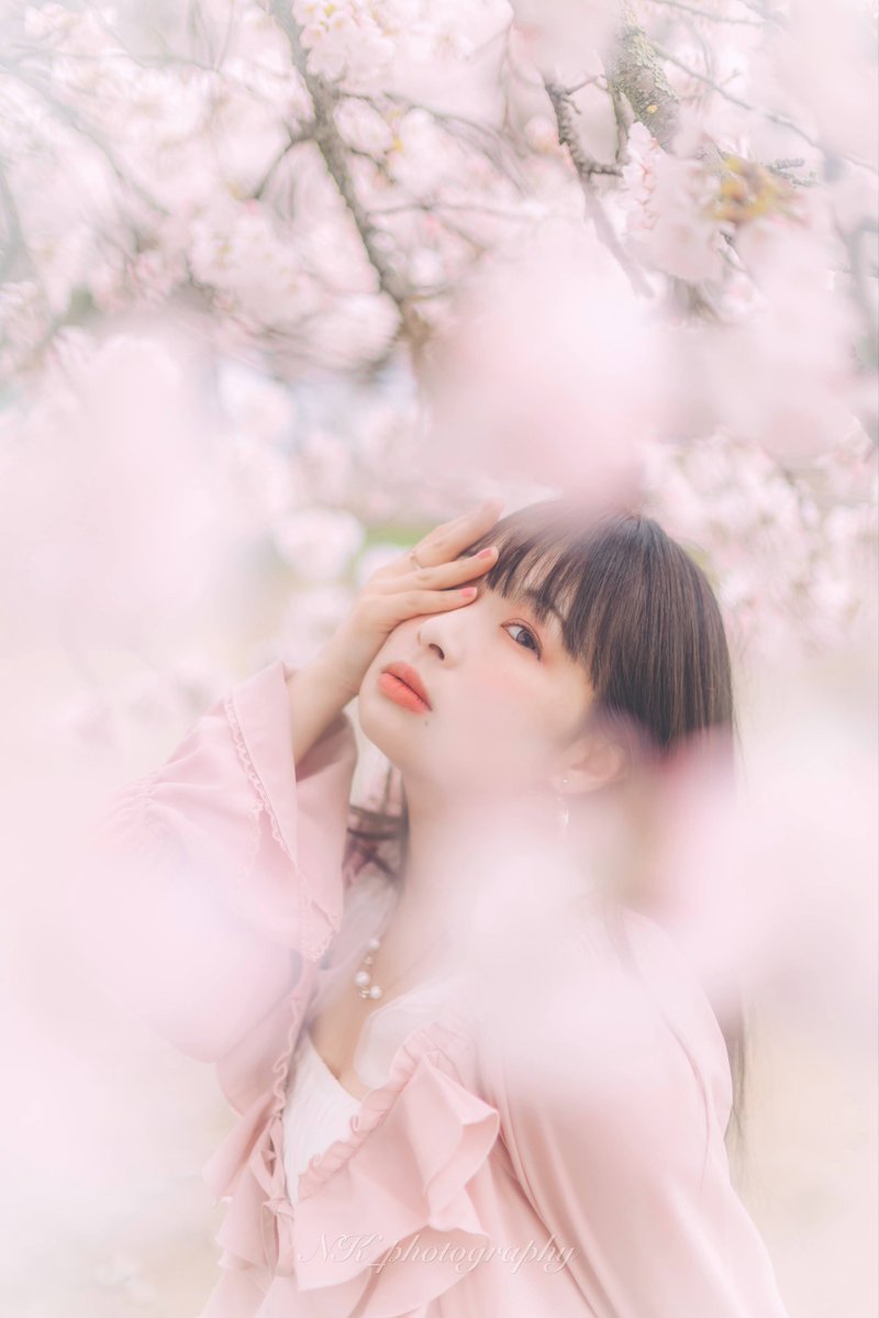NKphotography03's tweet image. Model⇨ゆいのあすかさん @nyan_yui_0777 

満開の桜🌸

#ポートレート #portrait #photography #桜撮影