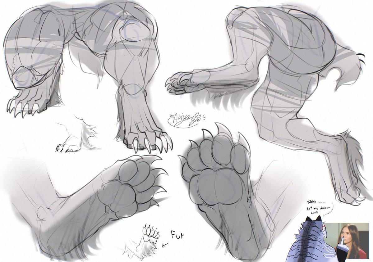 Ariyakonsuay 🦟 ( Cms Closed : 4 / 4 ) tweet media