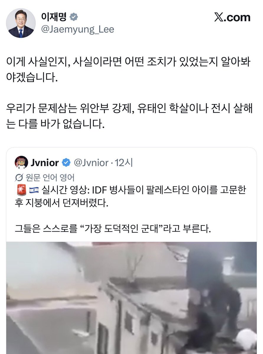 Mola mola☘️ tweet media