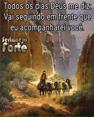 Cida Barcelos tweet media