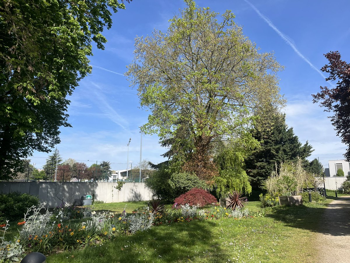 三木悠莉🌈🎤4.7.8🇬🇧/11🇫🇷/16中目黒HVEN/18TBA/5.2🇬🇦 tweet media