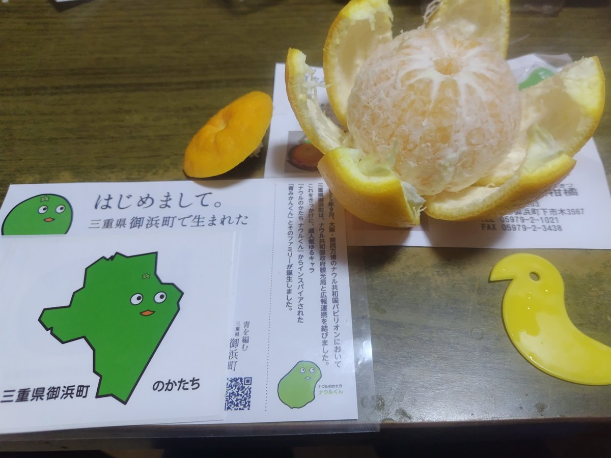見向きもされやん和歌山人bot☘ tweet media