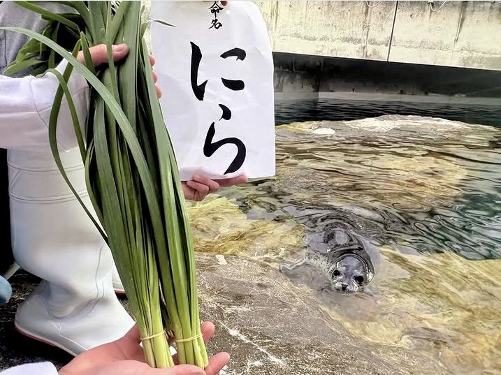 大分マリーンパレス水族館「うみたまご」 tweet media