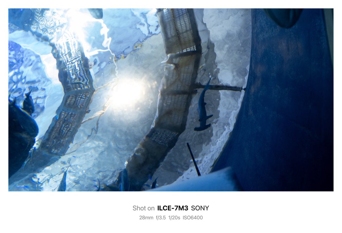 𝙆𝙄𝙍𝙄 tweet media