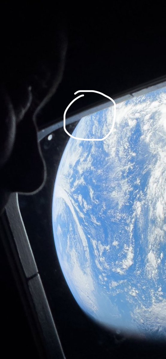 rafaporterovks tweet media