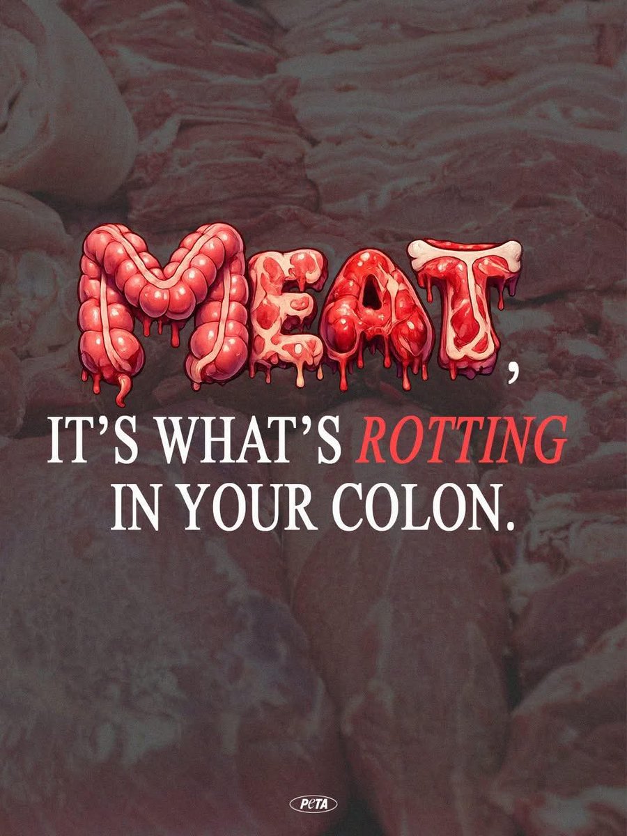 Dervilla(v) tweet media