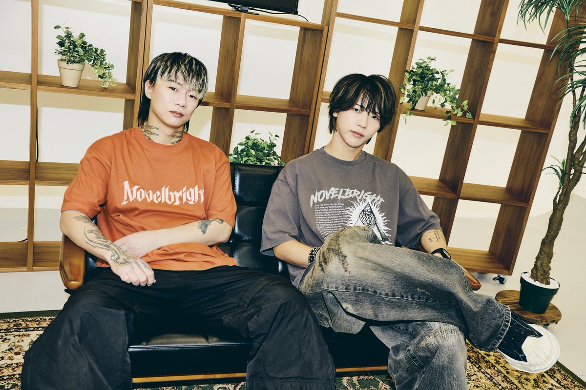 Novelbright tweet media