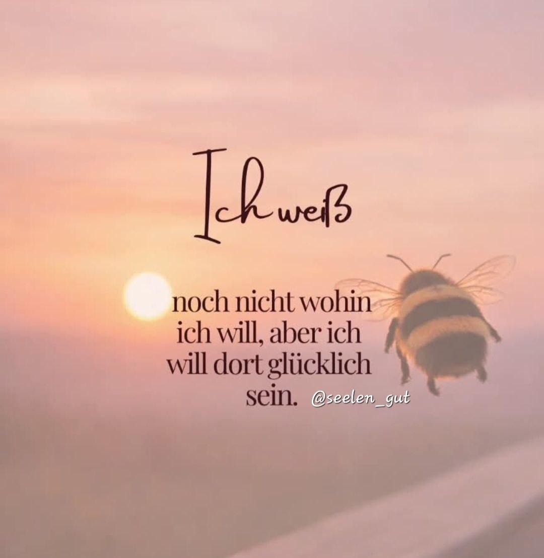 Elke C 🇩🇪 tweet media