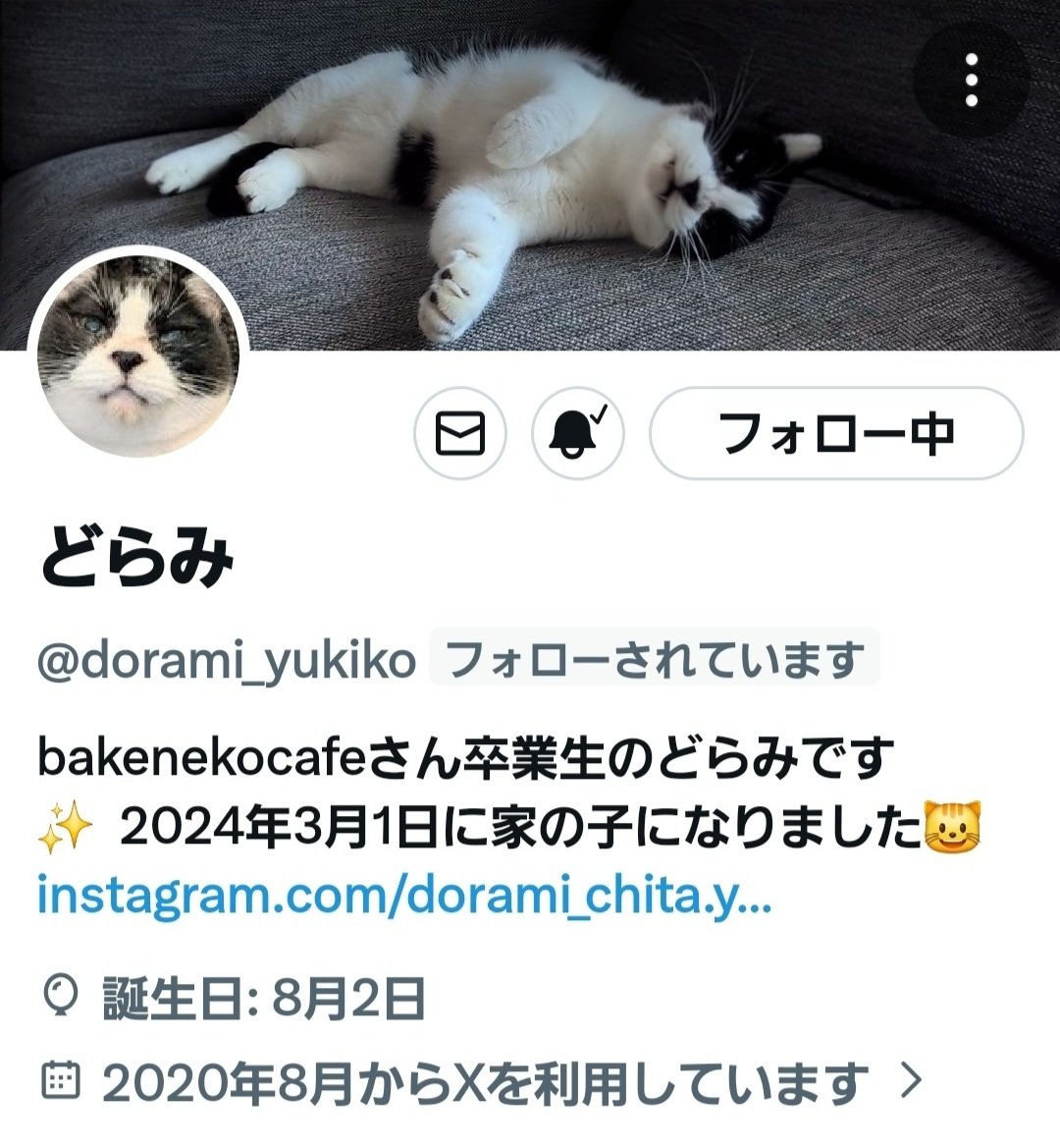 Ken Ken.© 🕊🕊🕊 tweet media