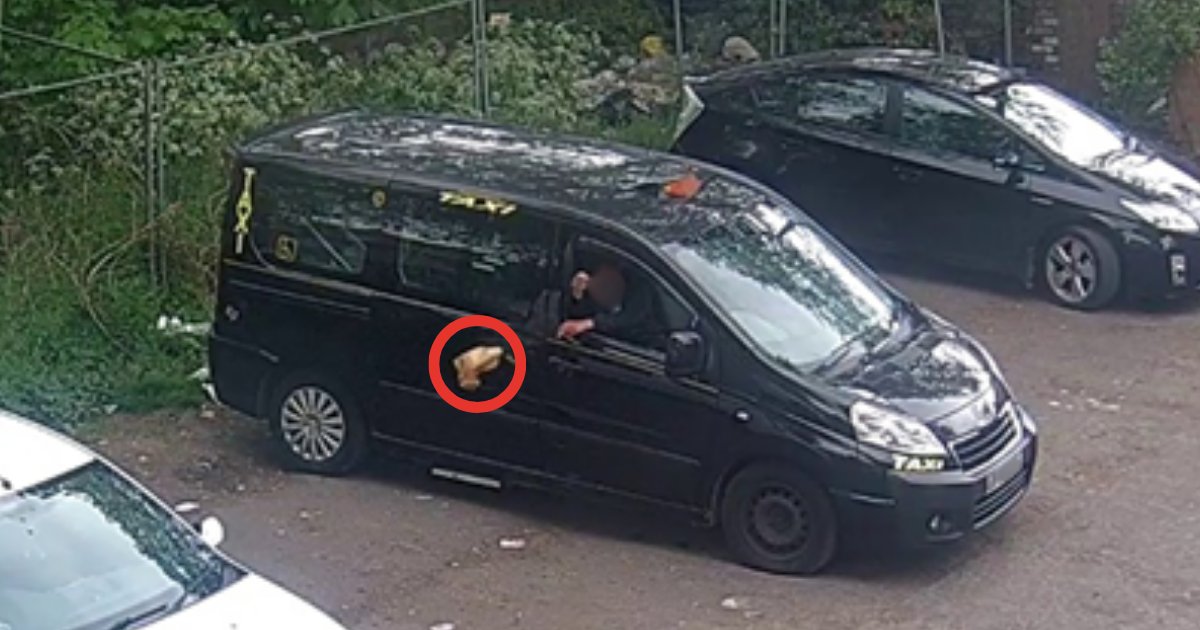 Walsall Bins & Things tweet media