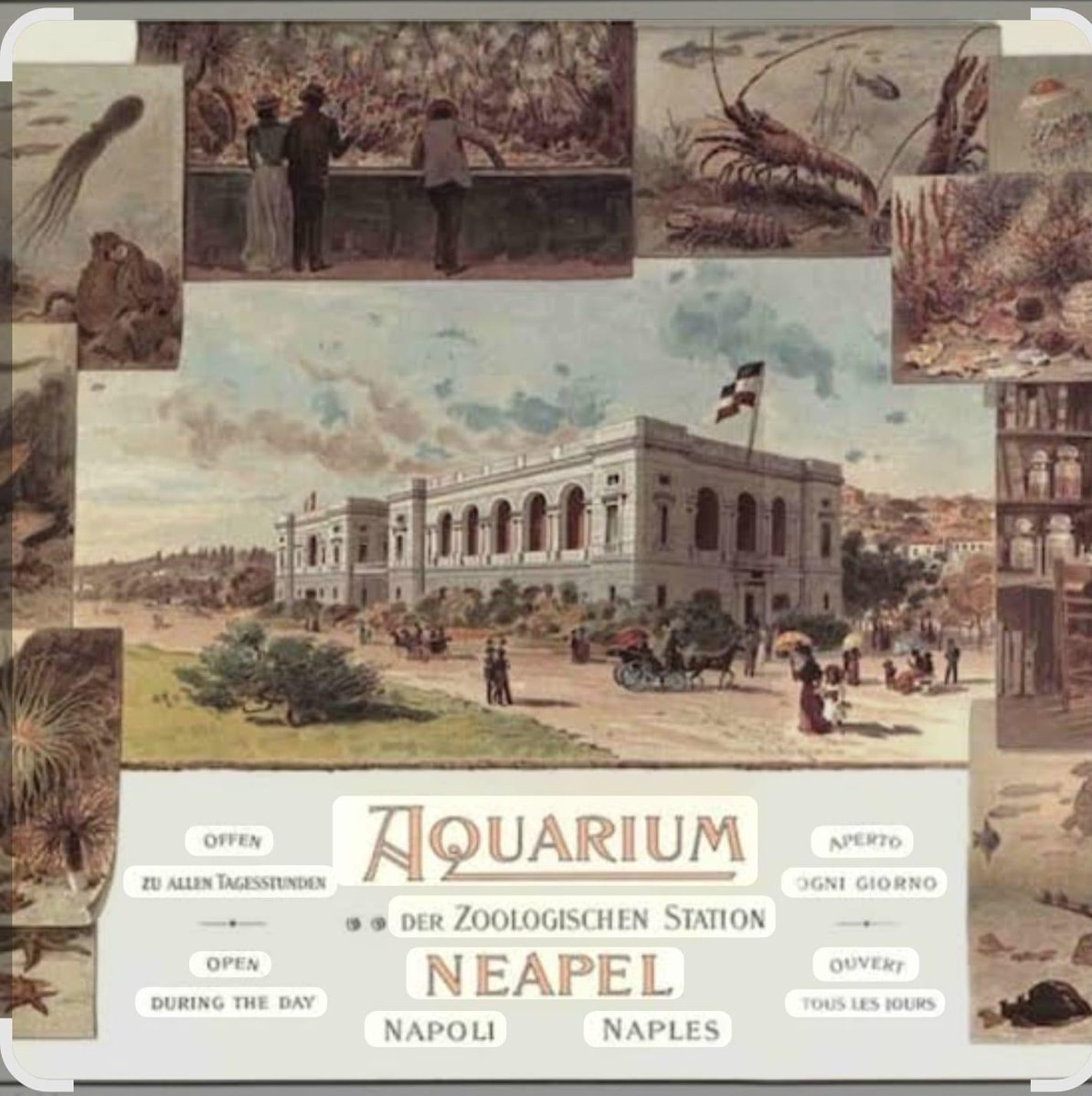 CRALTLC's tweet photo. *NUOVA CONVENZIONE *

ACQUARIO DI NAPOLI

Visita la pagina dedicata e scopri i vantaggi riservati ai soci
 https://t.co/0U9Xbv0cOZ https://t.co/lNzLZNH7i0