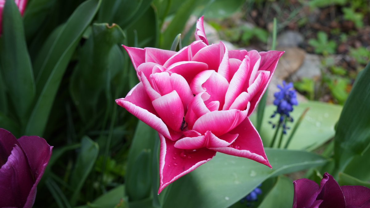 sonja keller 🐦 tweet media