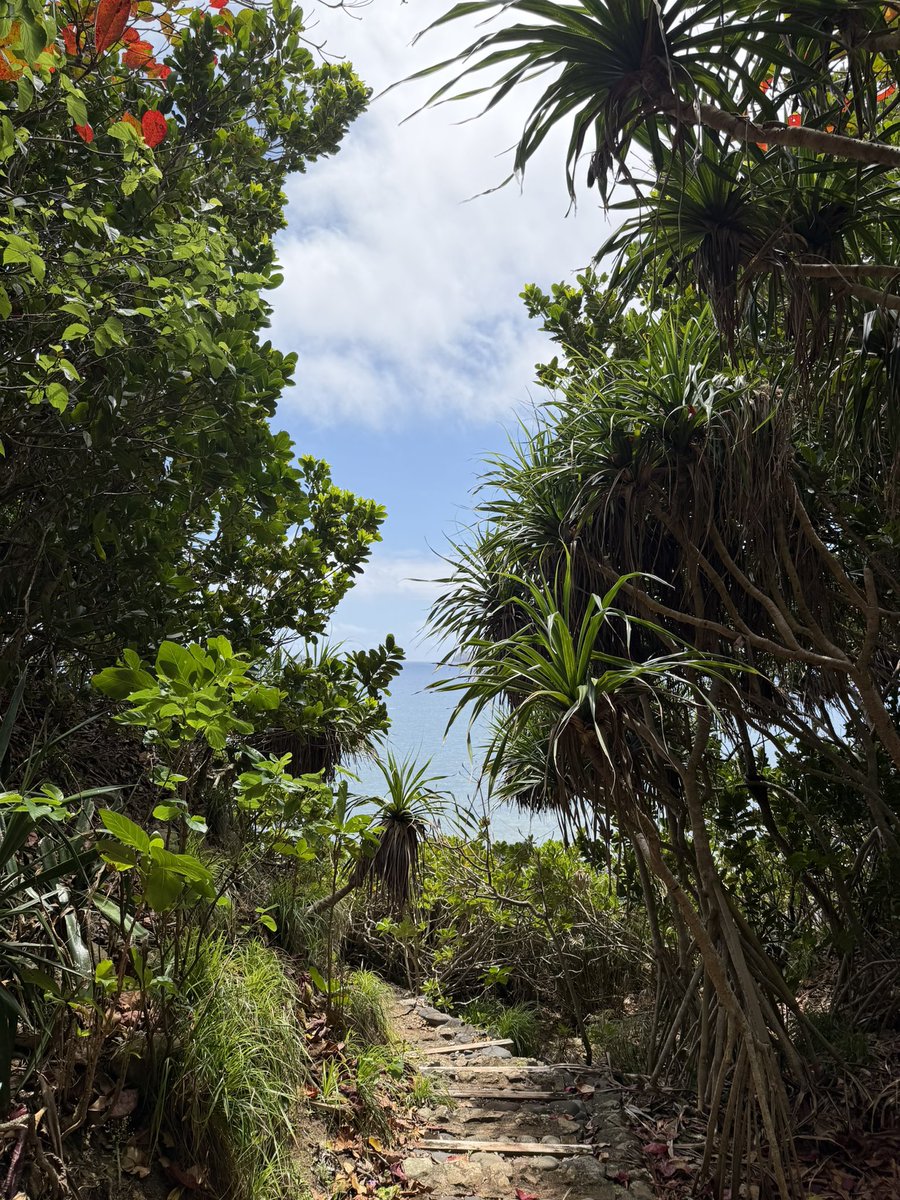 ねおん@広島市 tweet media