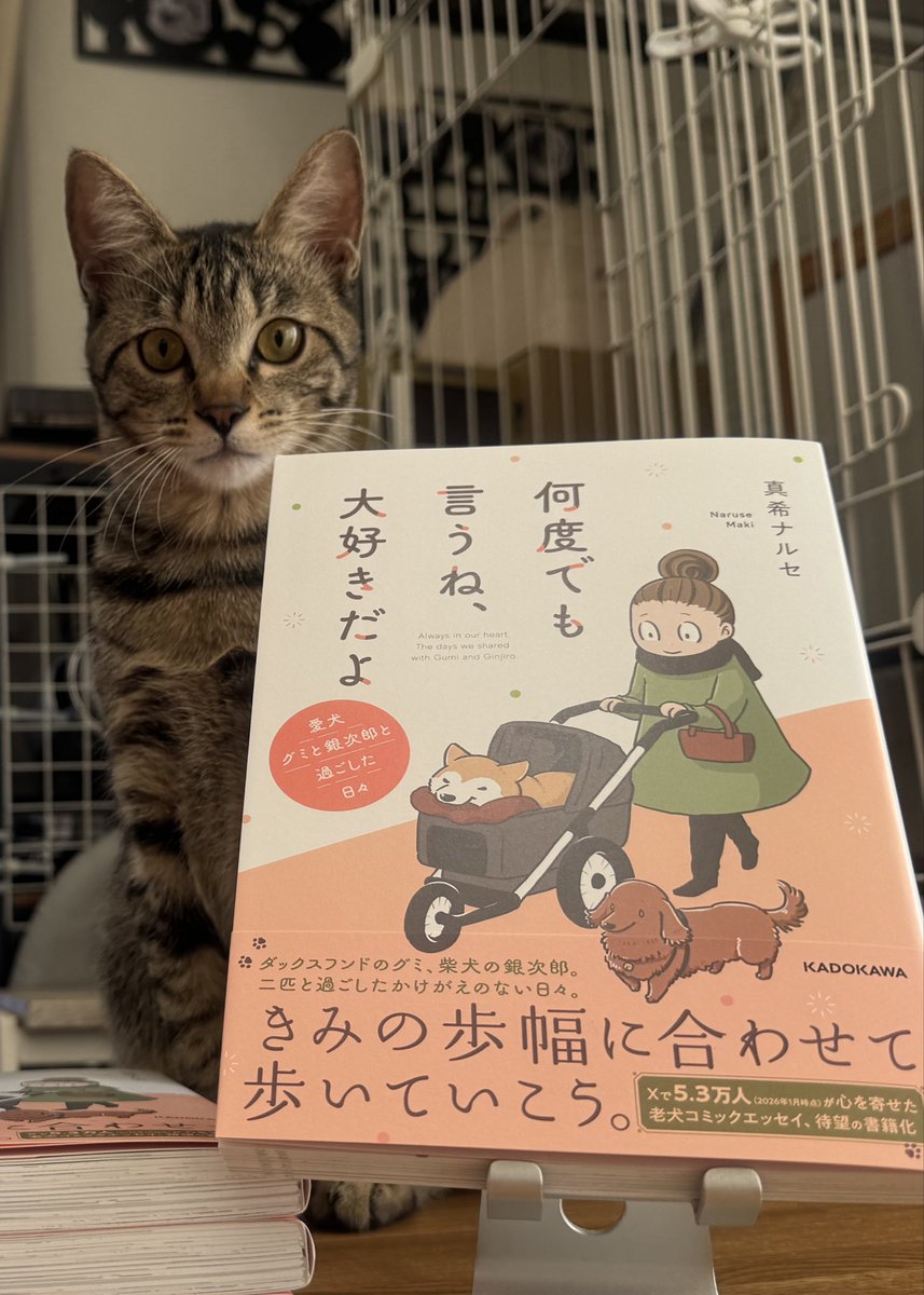 『何度でも言うね、大好きだよ 愛犬グミと銀次郎と過ごした日々』
シニアになったグミと銀次郎の漫画が、3月11日に発売になりました。
そちらもどうぞよろしくお願いいたします😌
・Amazonストア
(プロフィールにもリンクあります📕)
https://t.co/fy5d2WWXxc
・楽天ブックス