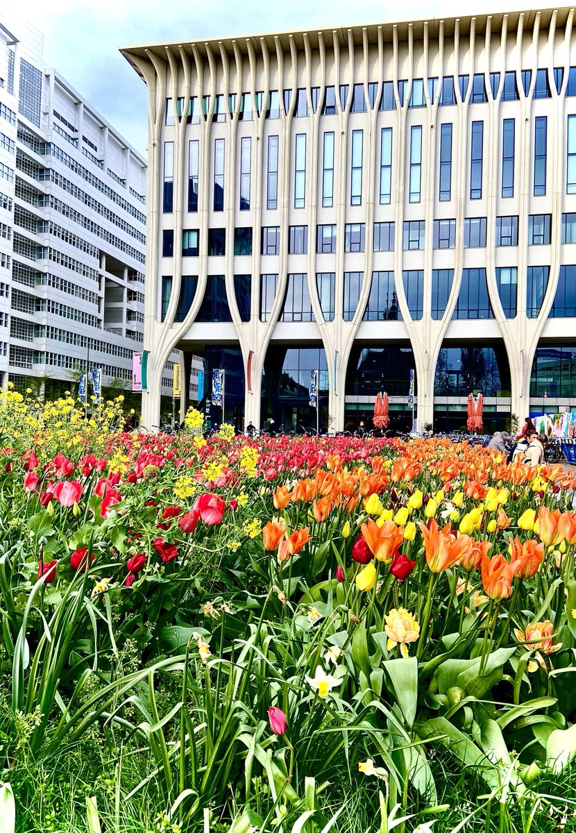 The Royal Conservatoire in The Hague:
200th anniversary of its foundation!

facebook.com/share/r/1NWqH6…