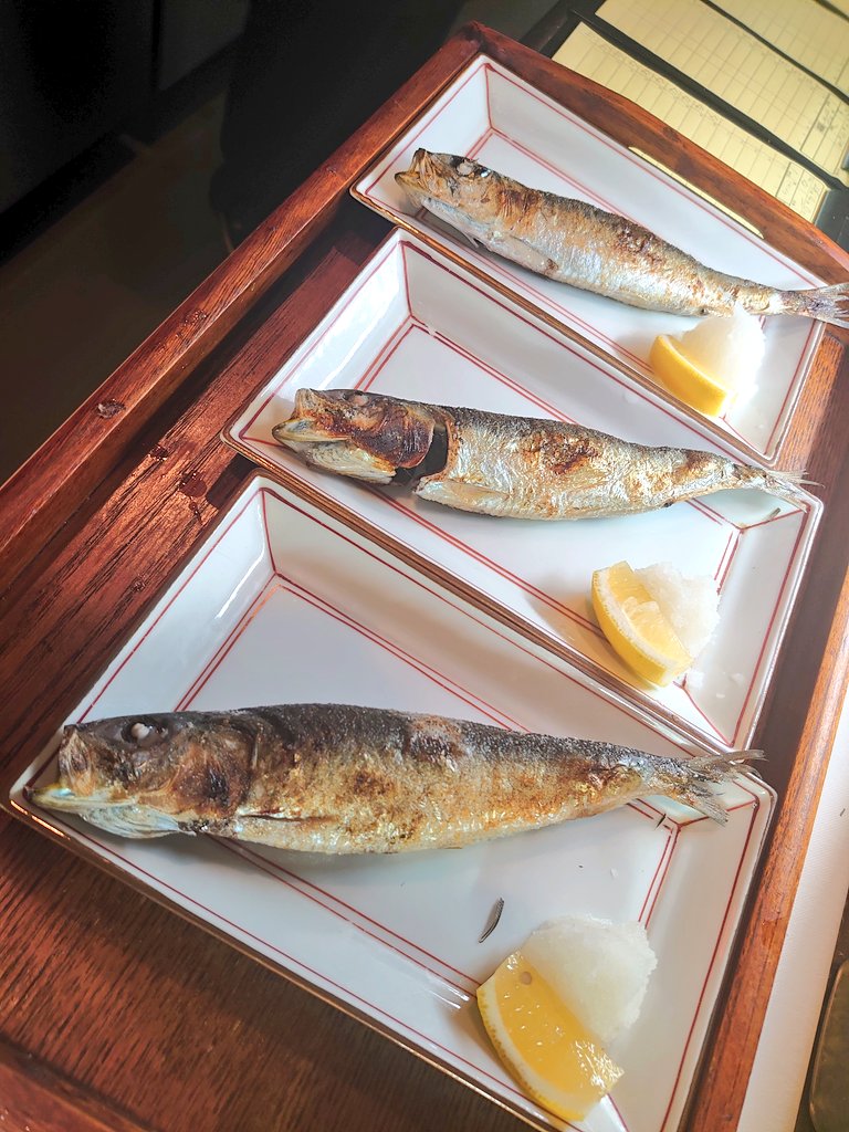 鰯が止まらない〜