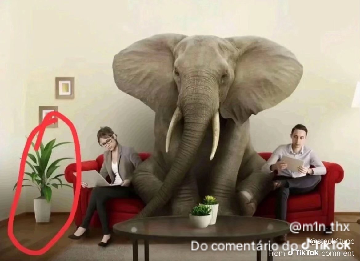 themejicanitoxd tweet media