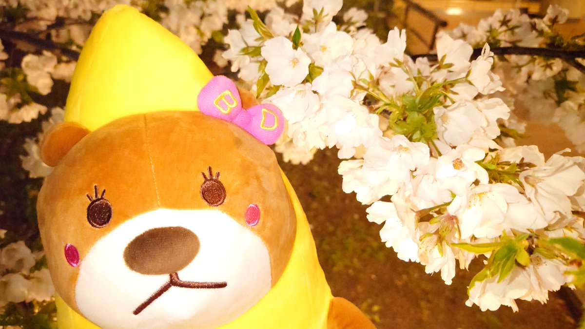 京都七条店長@BIGディッパー京都駅前🧸🍌 tweet media