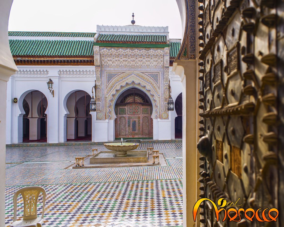 Feel Morocco tweet media