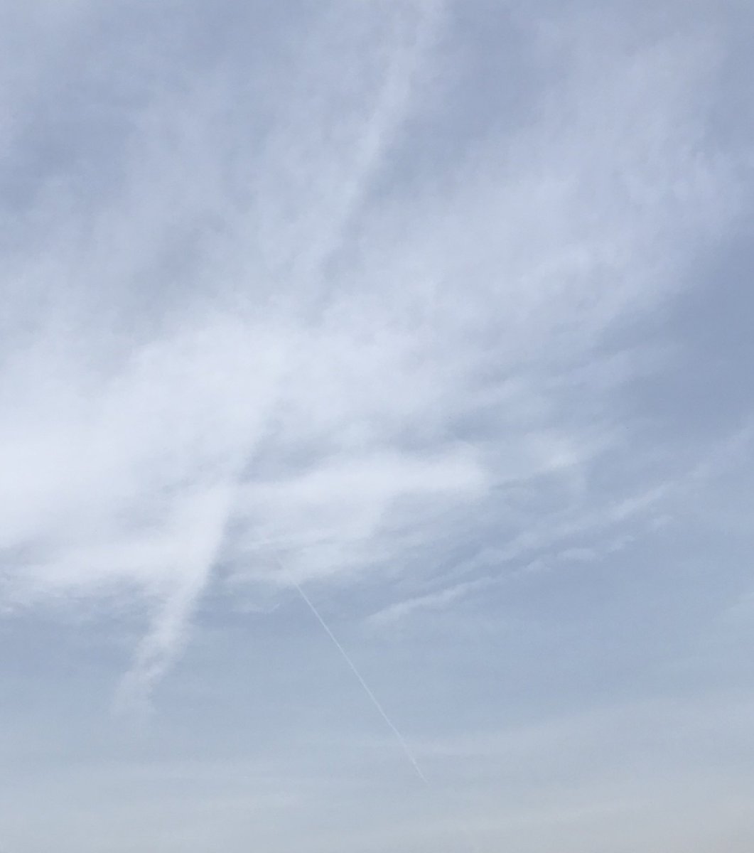 Viola La Privaci 🍫 tweet media