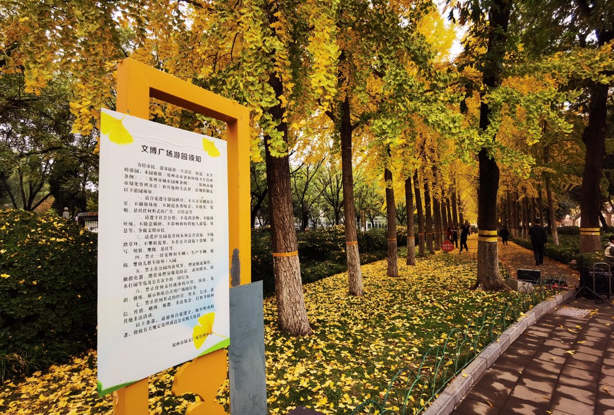 Robin Anne tweet media