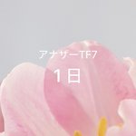 Photo by アナザートランスフォーメーション (@nextransform)