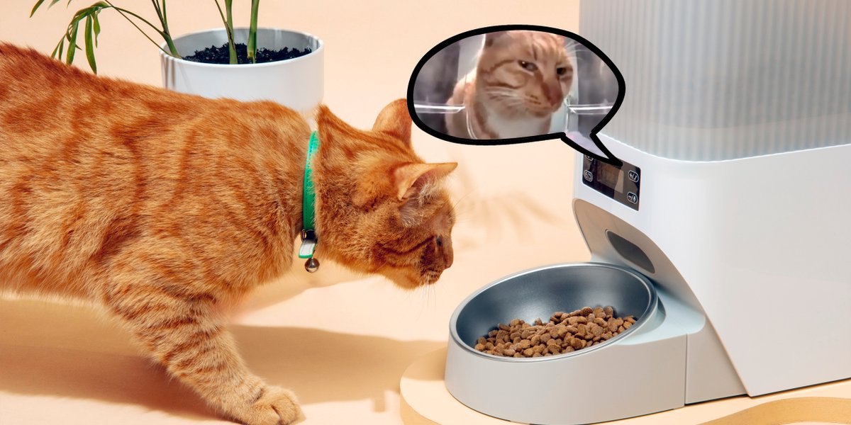 Лайфхакер Технологии tweet media