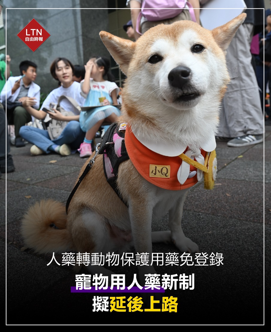 ltntw's tweet image. 毛孩用人藥免登錄，恐怕還得再等等！

圖文報導：health.ltn.com.tw/article/breaki…

#動物 #藥品 #台灣 #taiwan #台湾