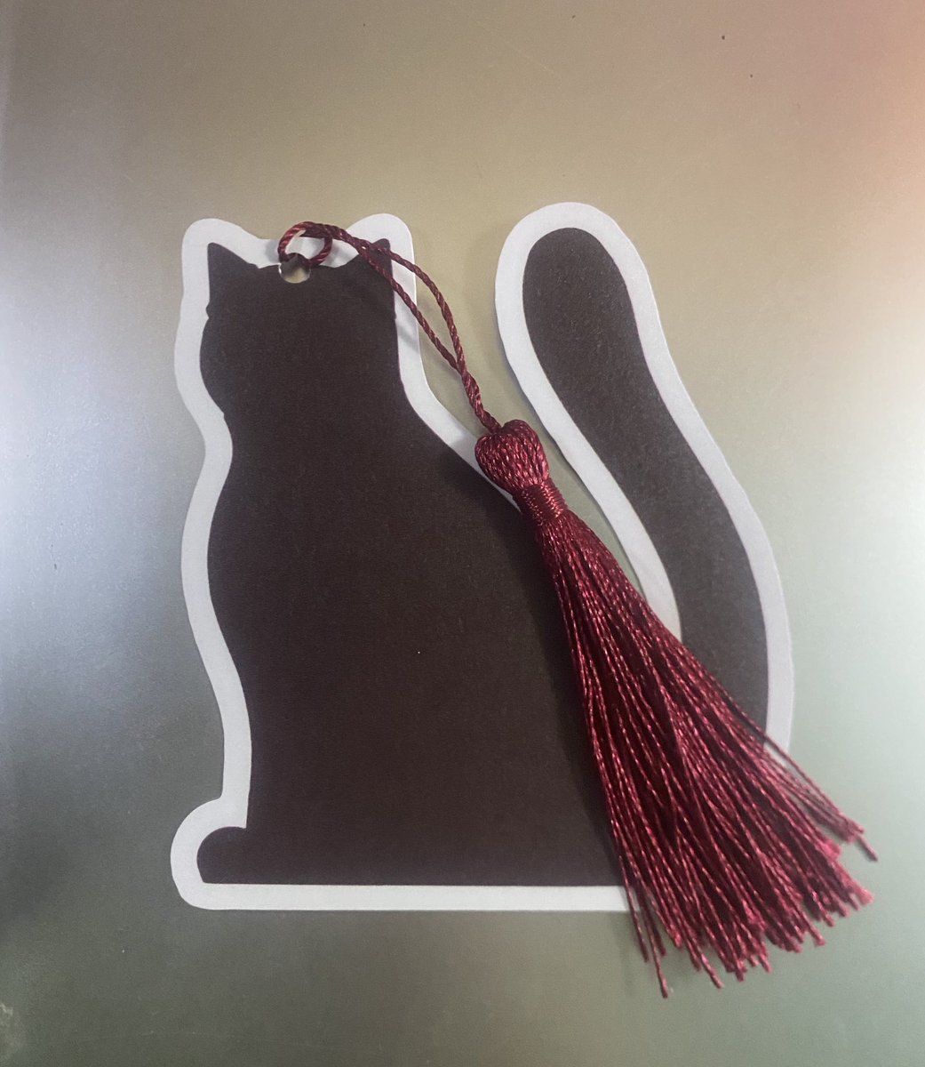 ˚⋆𐙚。 rᥲᥴhᥱᥣ 𖦹.ᡣ𐭩˚(medstud soon) tweet media