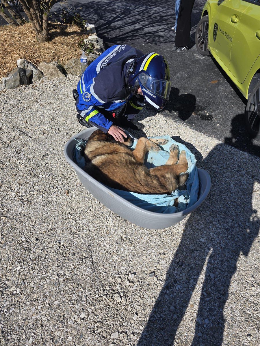 Gendarmerie nationale tweet media