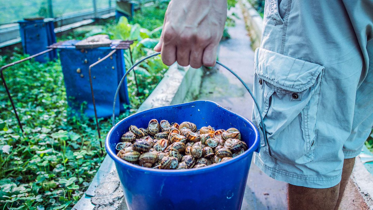 Balearische Inseln tweet media