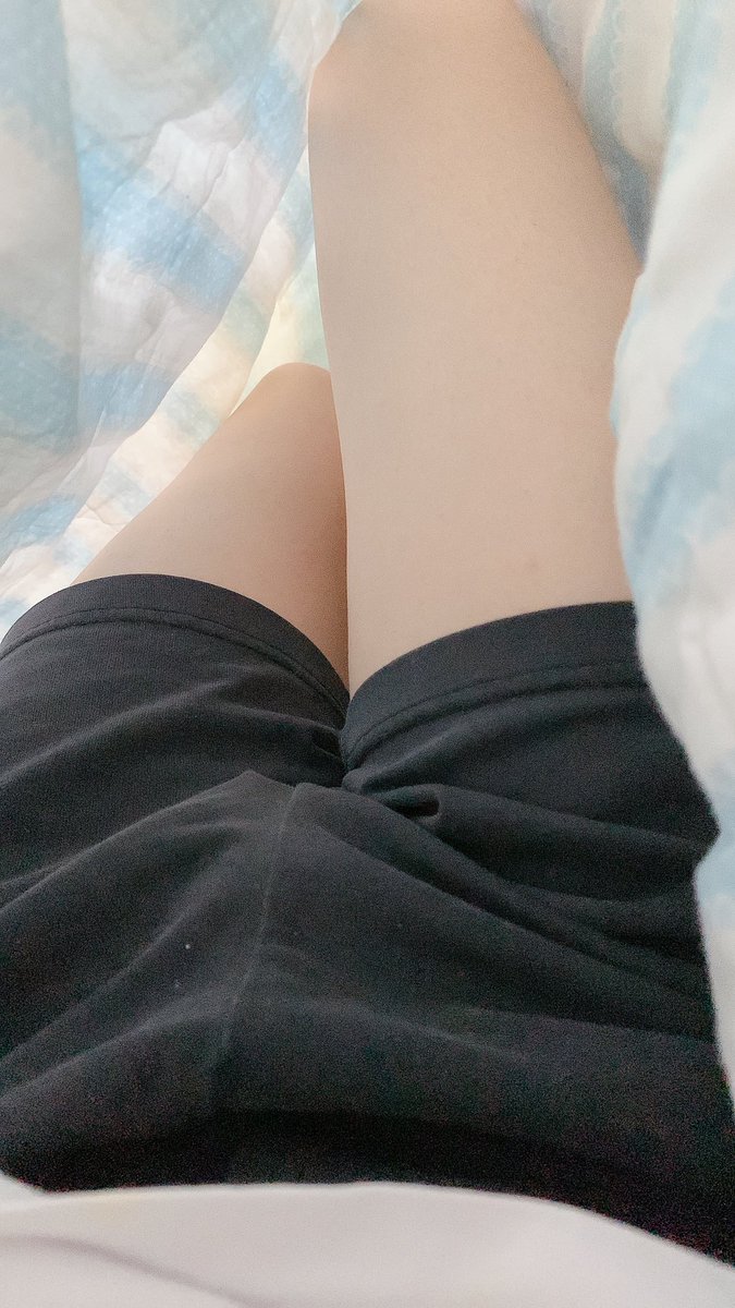 쇼랫트 tweet media