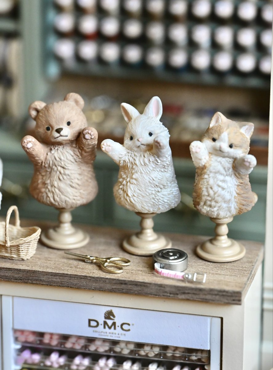 Nunu's House（田中智） tweet media