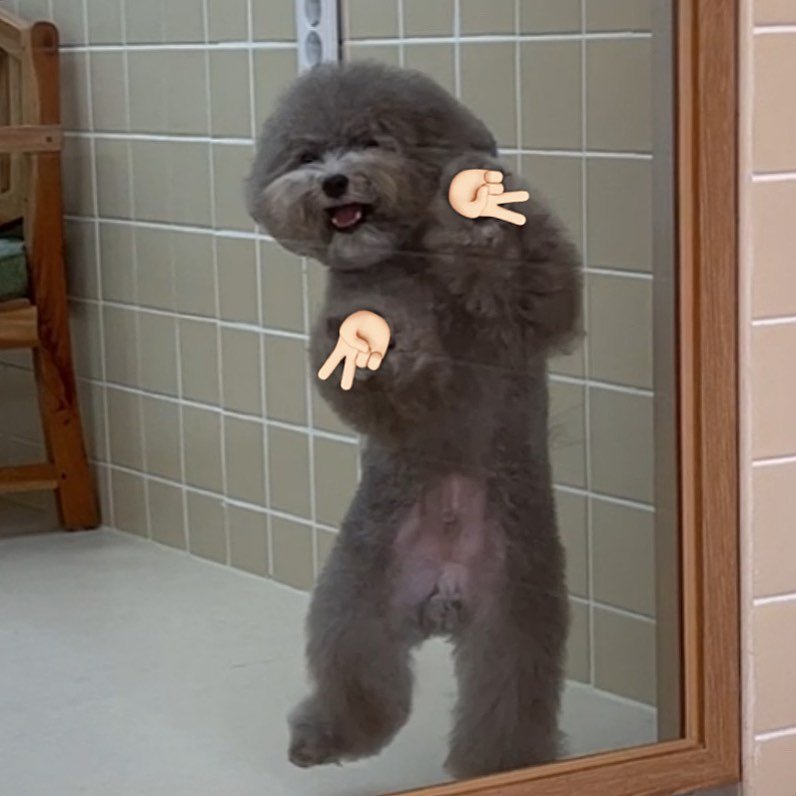 shan =ㅅ= tweet media