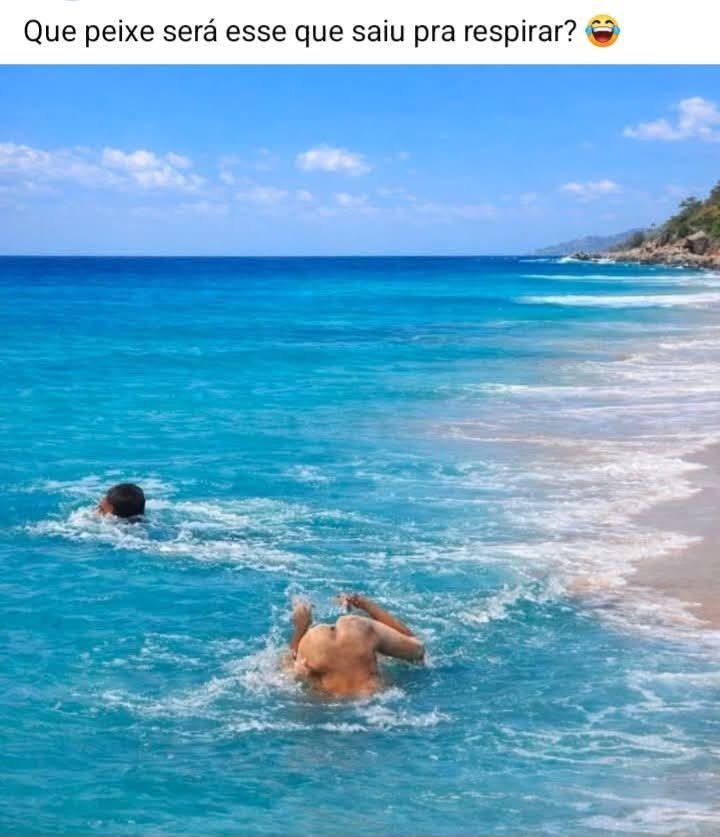 Aço Lyonel tweet media