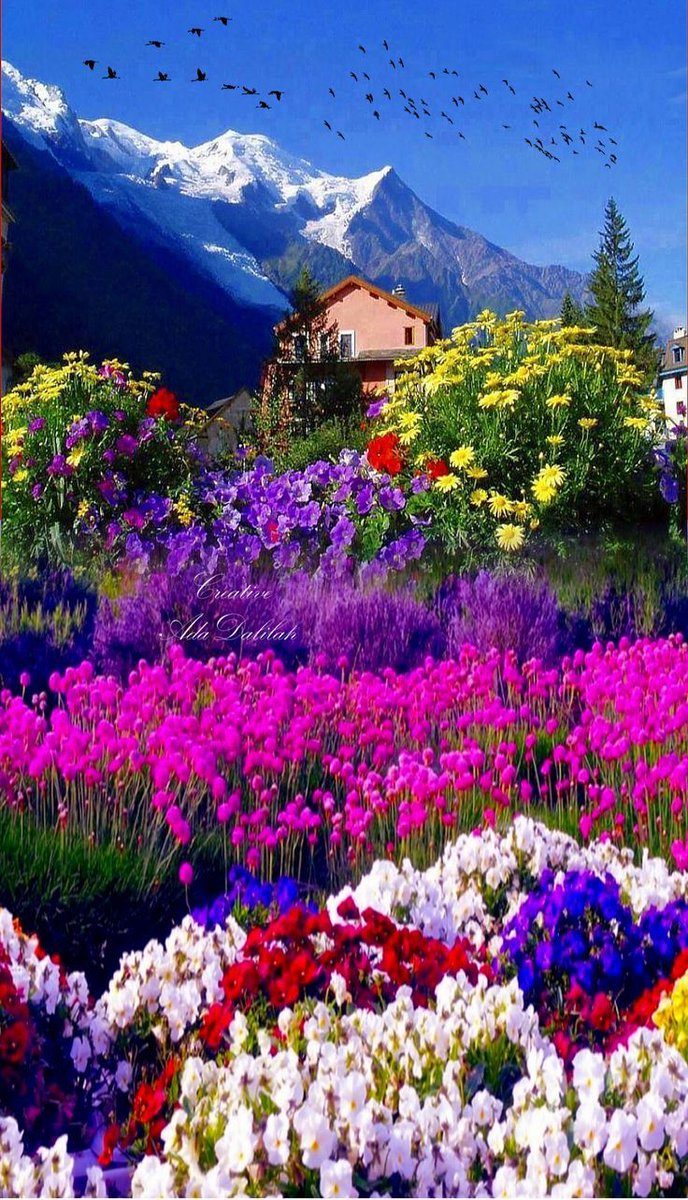 EminemShadyLtd's tweet image. Bringing this one back.

Simple beauty.

#FlowerWallpaper #Wallpaper #FreeWallpaper