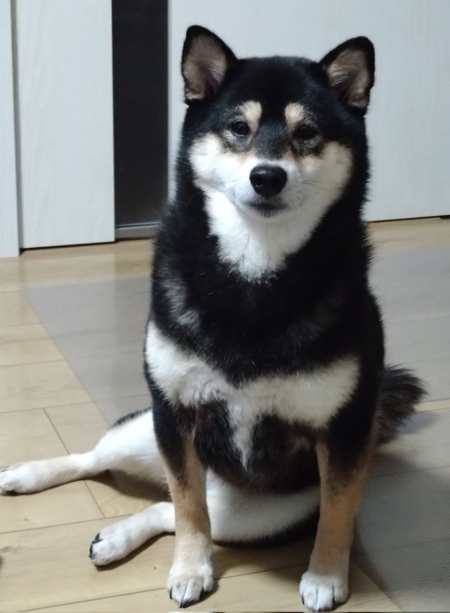 桃瀬 ひな🍑🐥 tweet media