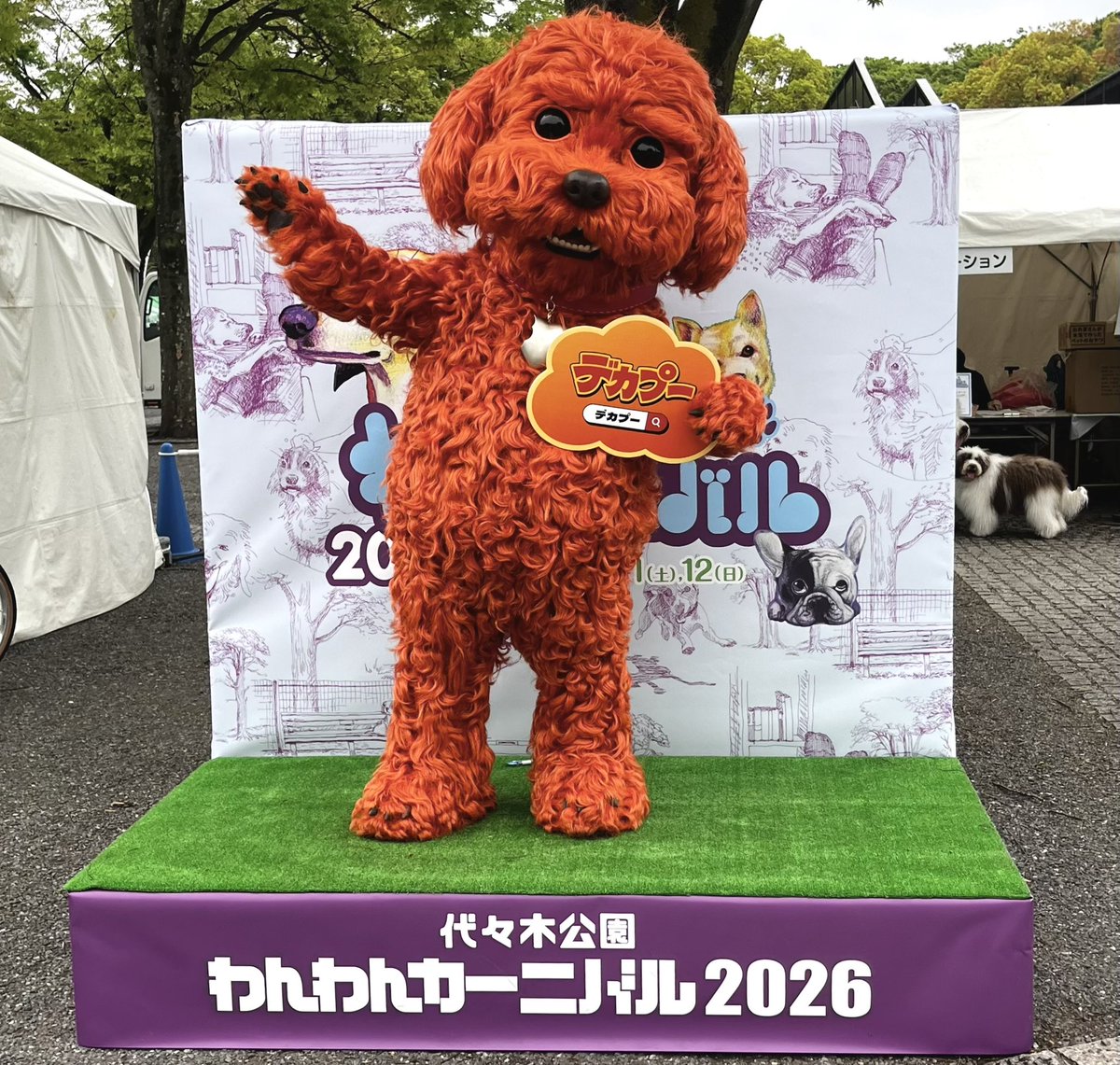 DecaPaw's tweet photo. 今日はいろんな人にはじめましての挨拶ができたワン！
 
みんなビックリしてたけど、怖がらないでほしいんだワン…
 
明日も代々木公園 イベント広場にいるから
ボクに会いにきてほしいんだワン♪
 
#代々木公園わんわんカーニバル
#decapaw #デカプー https://t.co/cftpdSyO3a