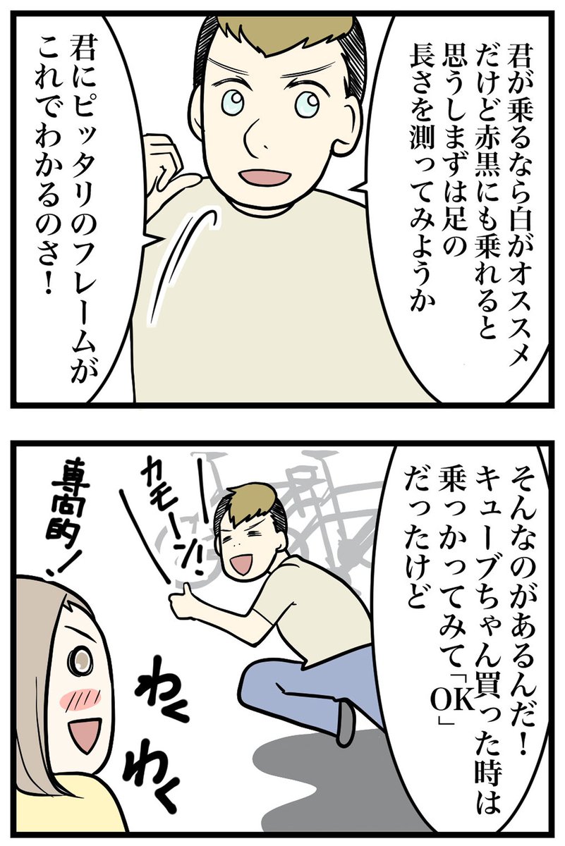 [閒聊] 荷蘭買腳踏車：試用腿長測定器的結果 - 希洽 - PTT.BEST 批踢踢爆文 2