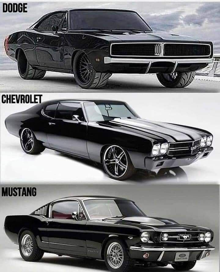 Vintage Cars Collection tweet media