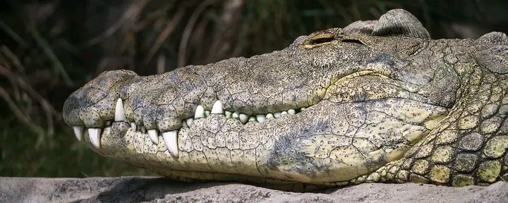 Ricky  Marquis🇿🇲 tweet media