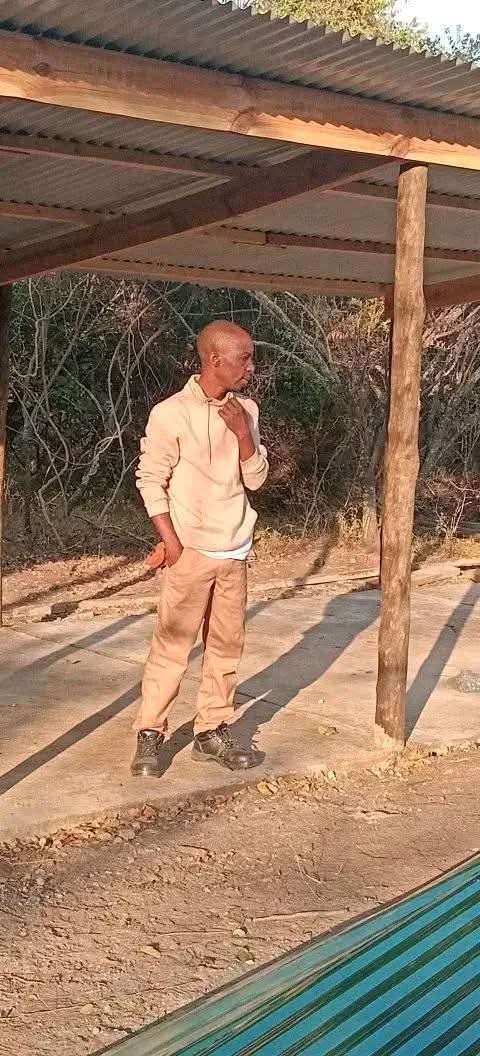 Stehaufmännchen 🇿🇲🇵🇸🕊️🇪🇺 tweet media