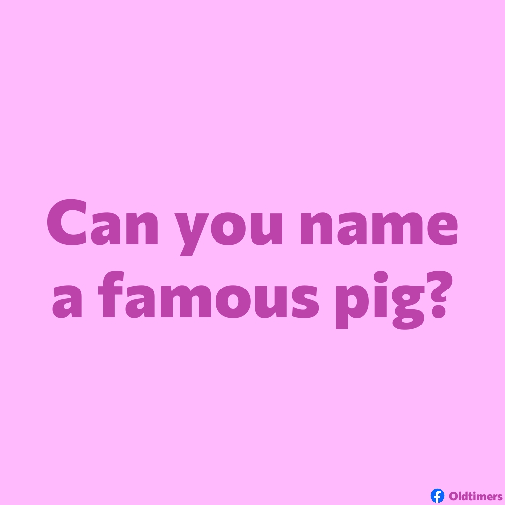 Oldtimers tweet media