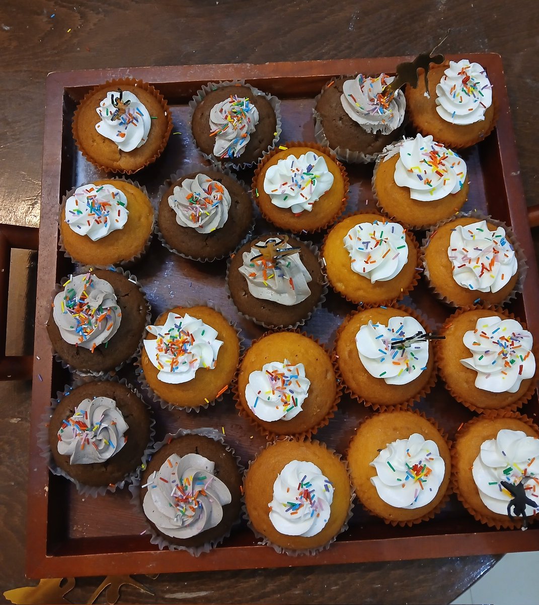 mojgan.k tweet media