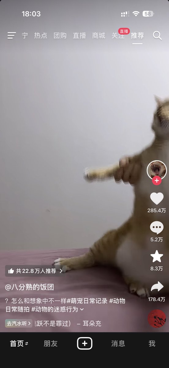 Pick👊顶尖（新号） tweet media