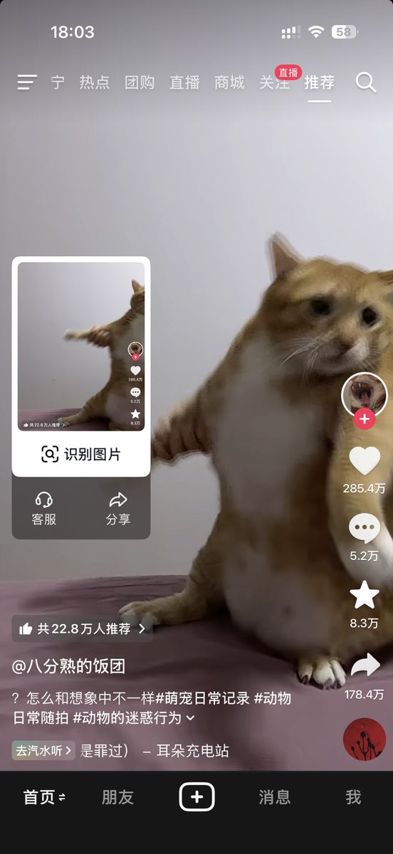 Pick👊顶尖（新号） tweet media